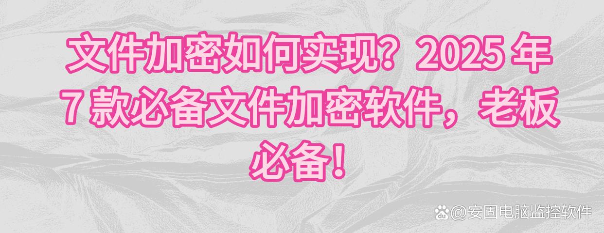 文件加密如何实现？2025 年 7 款必备文件加密软件，老板必备！